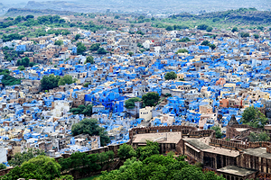 Cityscape view of blue buildings in Jodhpur Rajasthan