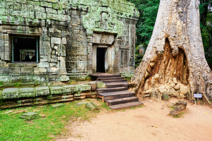 Ancient temple ruins with a colossal tree trunk.