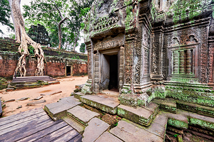 Angkor temple ruins consumed by nature.