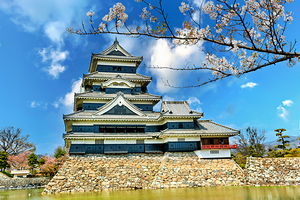 Matsumoto Castle during cherry blossom season in Japan