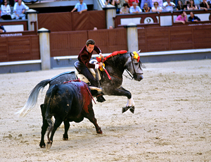Bullfight on horseback in Las Ventas Bullring in Madrid