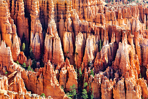Hoodoos at inspiration point bryce canyon np