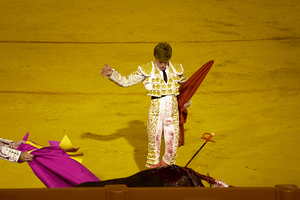 Bullfight event in Seville Arena with matador and bull