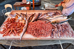 Daily market in Catania Sicily with fresh fish and seafood for s