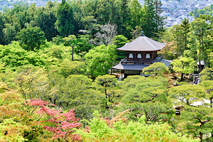 Ginkakuji shrine in Kyoto surrounded by trees and nature