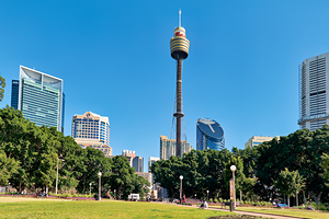 Sydney Tower Eye and surrounding buildings on a clear day.