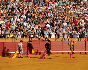 Bullfight event taking place in Seville Arena in Andalusia