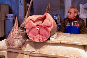 Fresh fish display in Piscaria market in Catania Sicily Italy