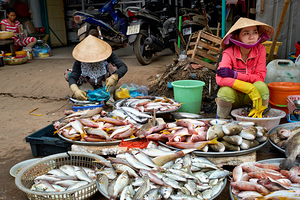 Fish market in Phu Quoc with local vendors working