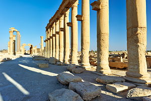 Exploring Palmyras ancient colonnade and arch