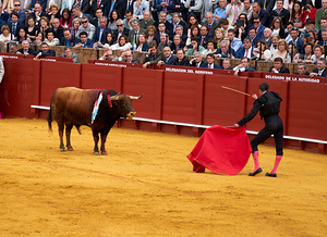 Bullfight in Seville Arena of Andalusia attracts large crowd