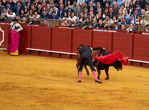 Bullfight in Seville Arena in Andalusia Spain during the event