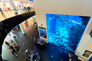 Large aquarium attracts visitors in shopping mall in Dubai UAE