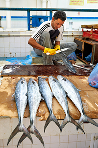 Fish seller prepares catch at Nizwa Oman fish market
