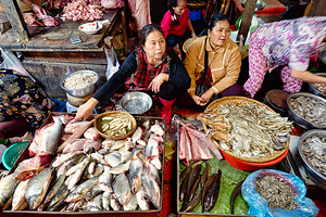 Market vendors selling fresh fish seafood and meat.