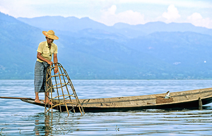 Traditional fishing on Inle Lake in Myanmar by local fisherman