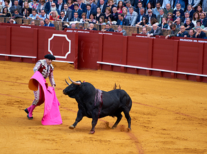 Bullfight in Seville Arena takes place in Andalusia Spain