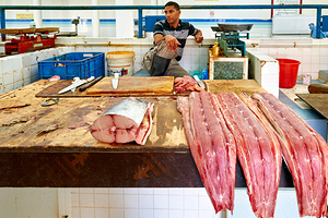 Fish market in Nizwa Oman featuring fresh catch