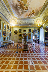 Visit Pitti Palace Museum and explore the Palatine Gallery in Fl