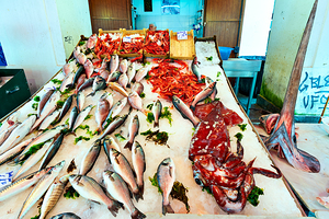 Fish and seafood for sale at Vucciria Market in Palermo Sicily