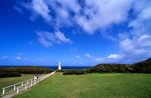 A path leads to a coastal lighthouse under blue skies.