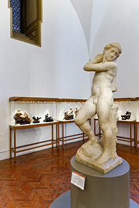 Michelangelos David Apollo in Museo Nazionale del Bargello Flo