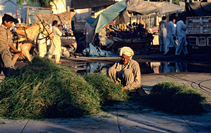 Street market in Lahore with vendors and busy activity