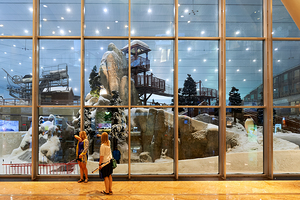 Women watching snow park in Dubai indoor attraction