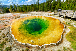 Morning glory pool in yellowstone national park usa