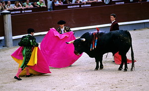 Bullfight at las ventas bullring in madrid spain