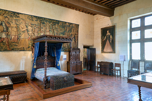 Exploring the interior of Chateau de Chaumont sur Loire in Franc