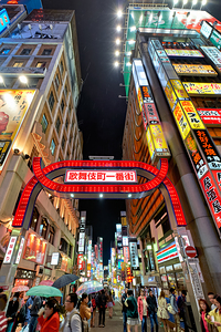 Neon lights shine in Shinjuku district at night in Tokyo city