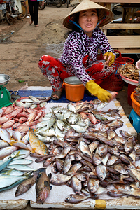 Fish seller in Phu Quoc market shows fresh catch for sale