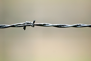 Barbed wire at Auschwitz concentration camp in Krakow Poland