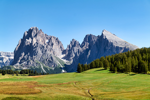 Visit Seiser Alm Alpe di Siusi for views of Sassolungo mountain 