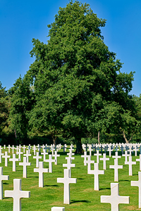 Grave markers at Normandy American Cemetery in Colleville sur Me