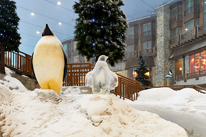 Winter wonderland in Dubai featuring penguin statues and trees