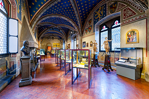 Exploring art displays in Museo Nazionale del Bargello in Floren
