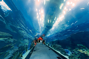 Visitors watch fish in underwater tunnel at aquarium in Dubai