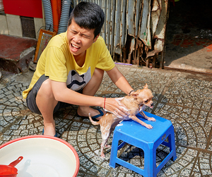 Boy washing a small dog in Ho Chi Minh City