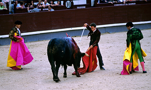 Bullfighting event at Las Ventas Bullring in Madrid