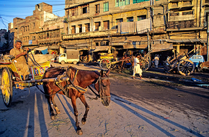 Horses and carts on the busy streets of Lahore at dusk by Marco Brivio