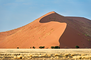 Sand dunes rise at Sossusvlei in Namib Naukluft National Park
