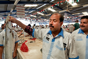 Fish market vendor shows his catch at Dubai market
