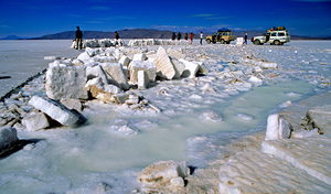 Explorers on a salt flat with salt blocks and water. by Marco Brivio