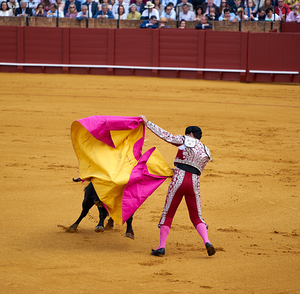 ANDALUSIA SPAIN. Bullfight in Seville Arena