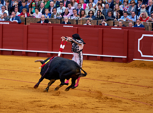 ANDALUSIA SPAIN. Bullfight in Seville Arena