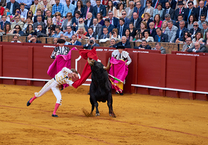 ANDALUSIA SPAIN. Bullfight in Seville Arena