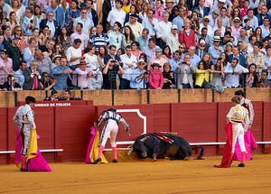 ANDALUSIA SPAIN. Bullfight in Seville Arena