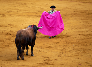 ANDALUSIA SPAIN. Bullfight in Seville Arena